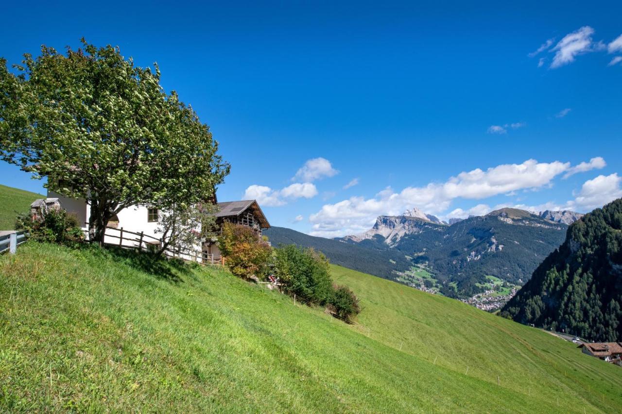 Agriturismo Apartments Tuene 오르띠세이 외부 사진